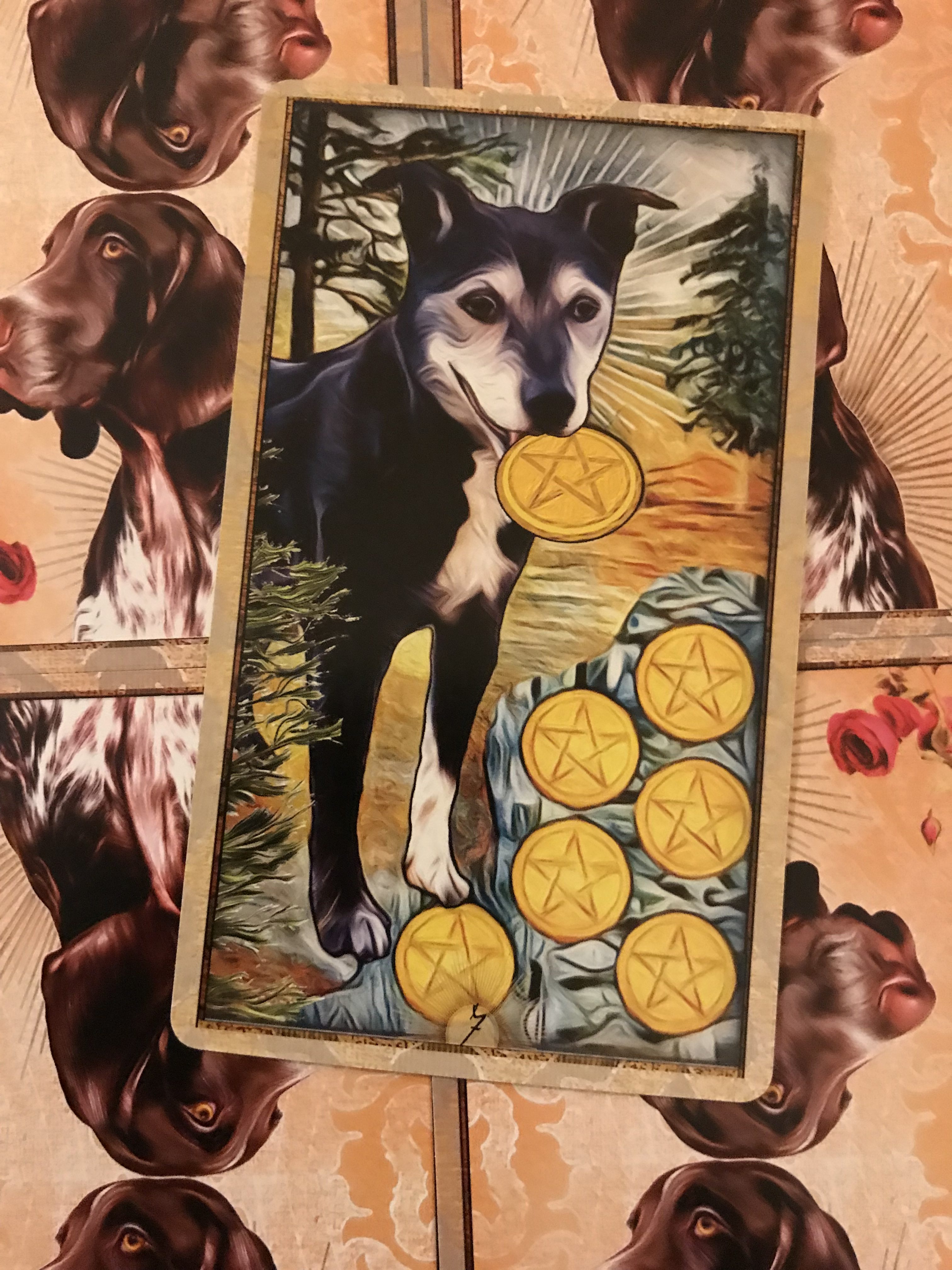 Featured Card of the Day 7 of Pentacles Wise Dog Tarot by M.J