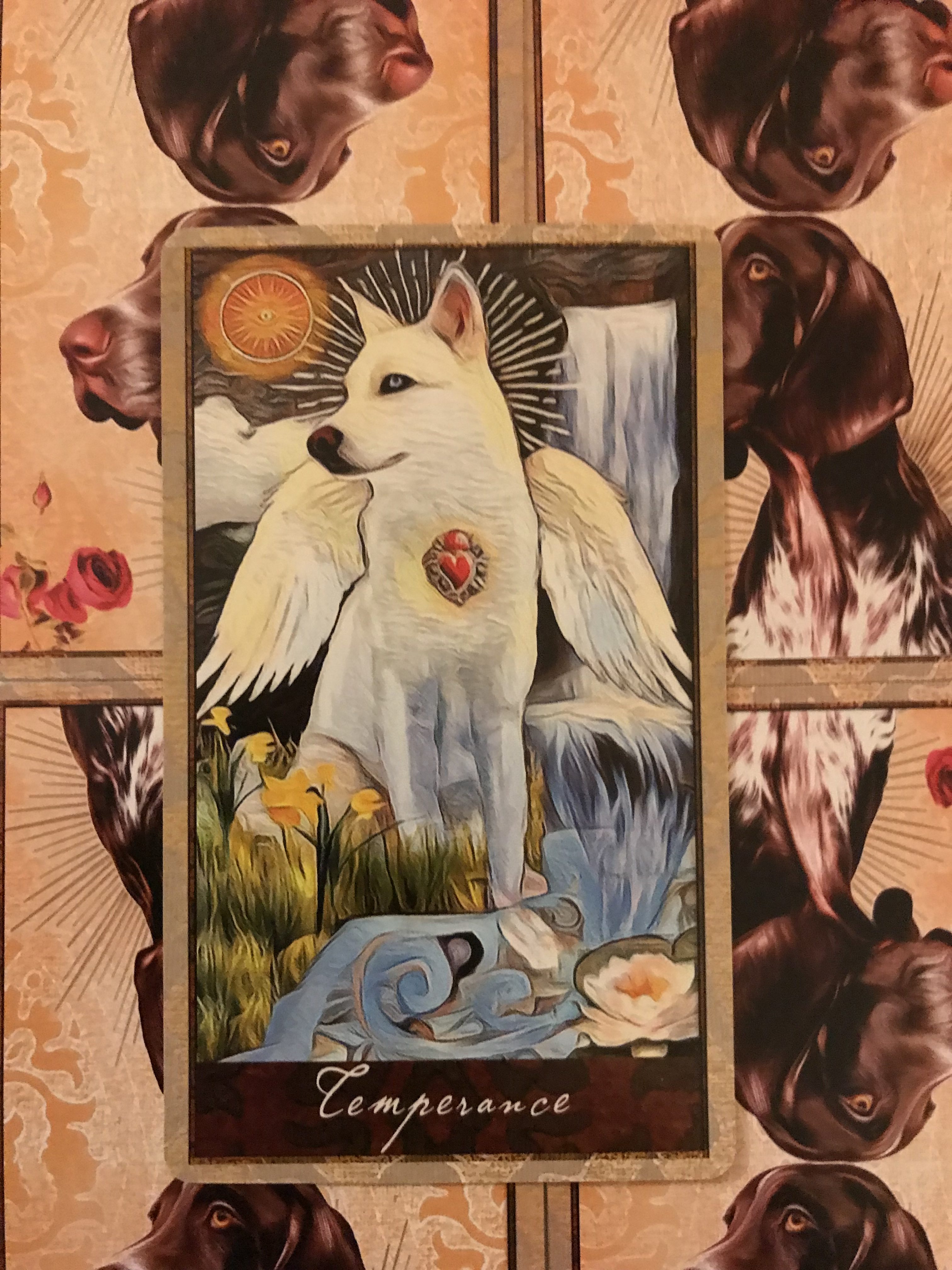 Featured Card Of The Day Temperance Wise Dog Tarot By M J 